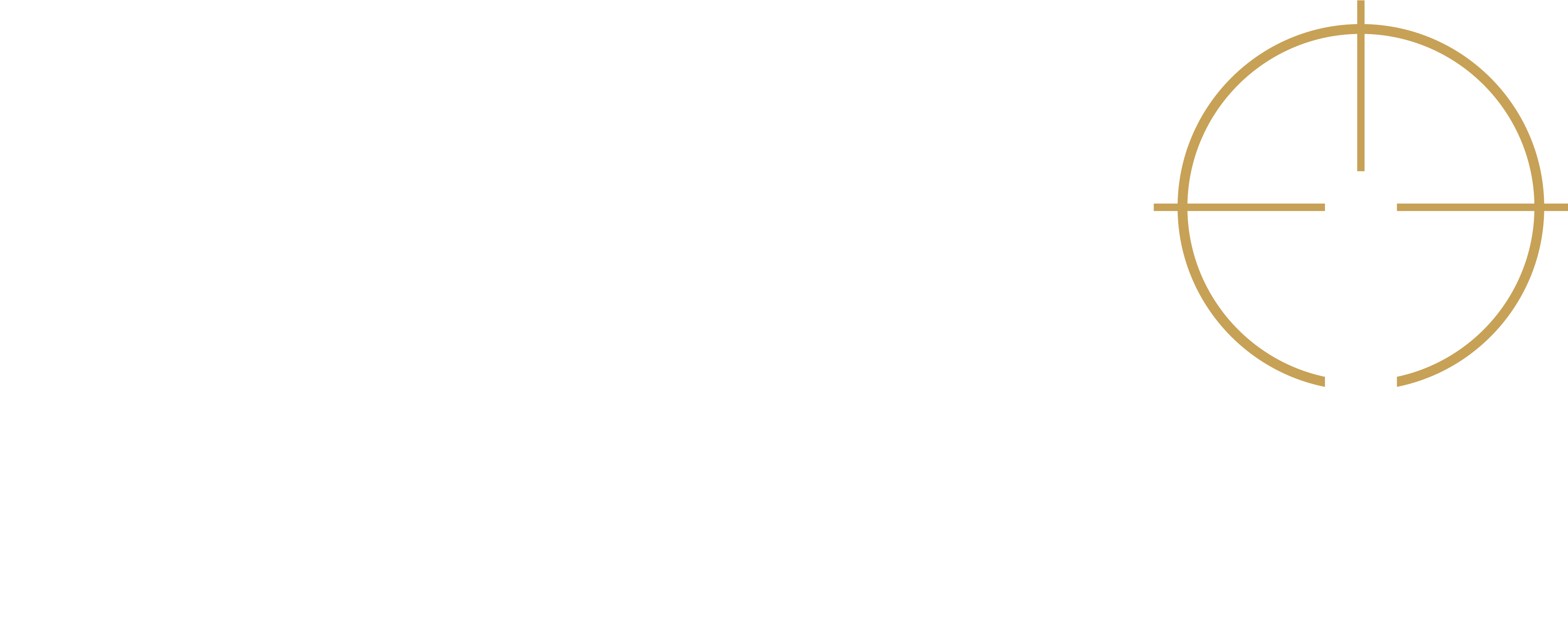 DSEI logo